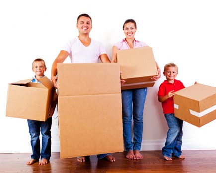Local Westminster movers handling boxes with organized efficiency